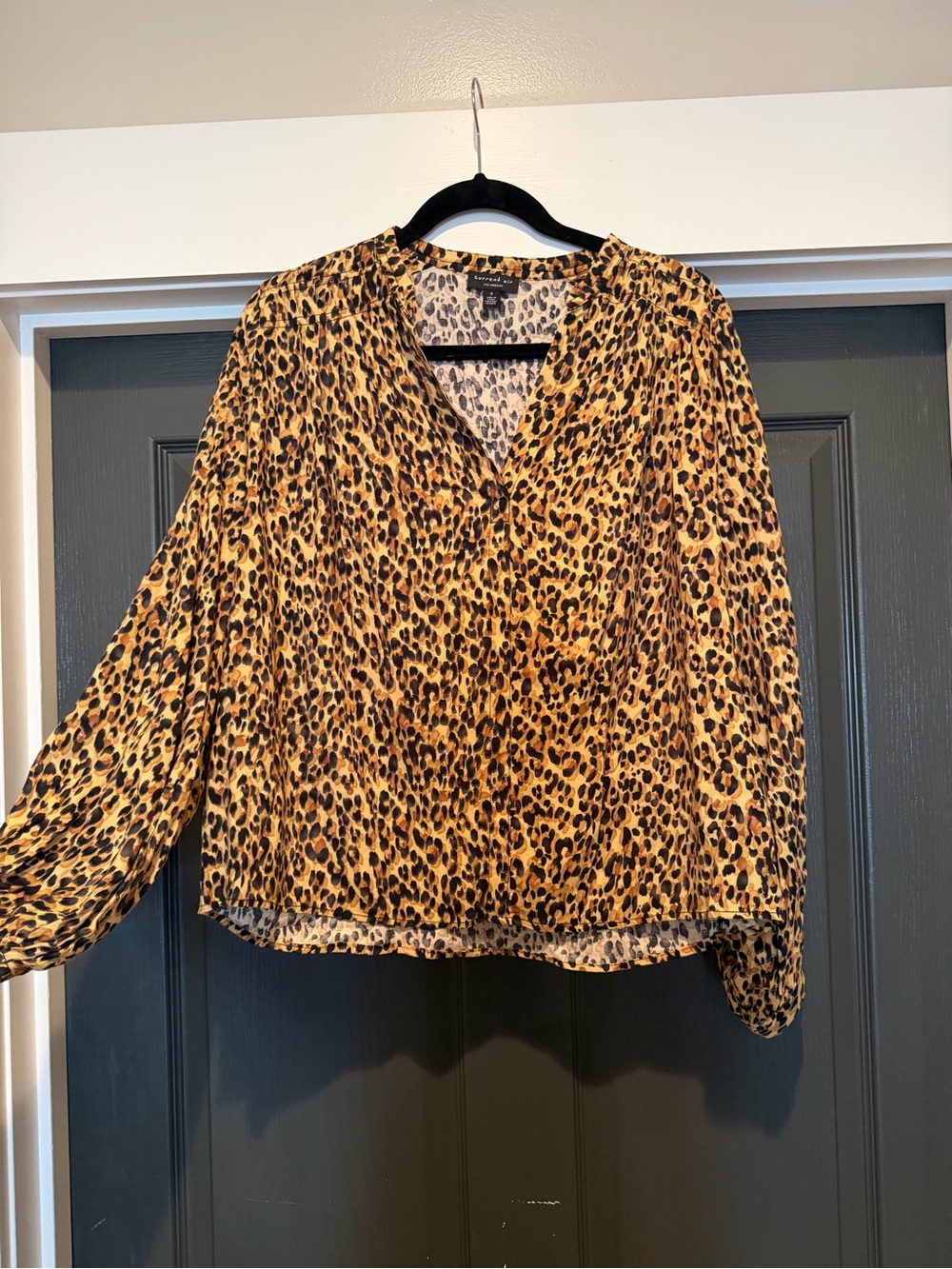 Current Air Leopard Print Long Sleeve Blouse - Brown/Black